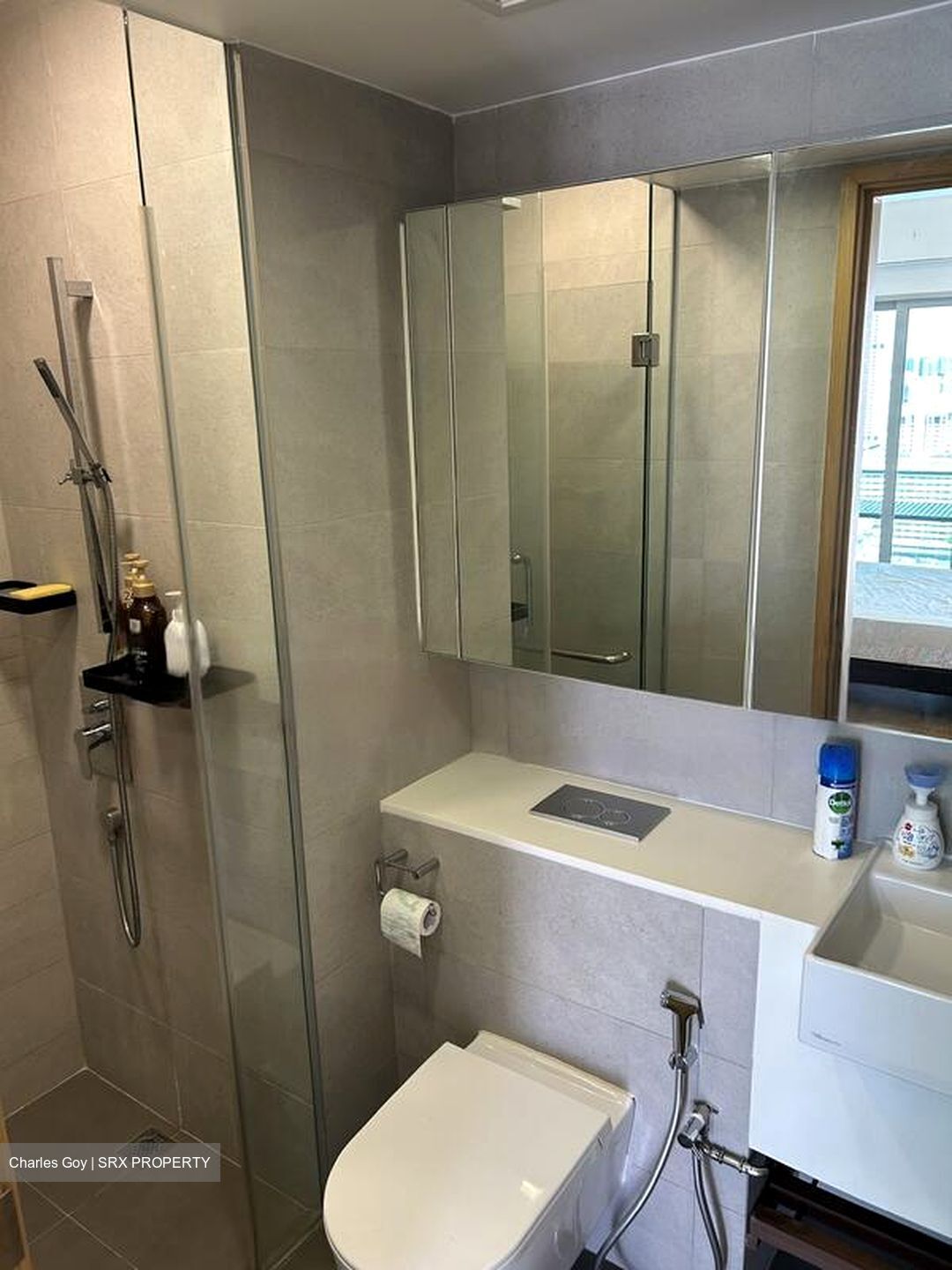 Eight Riversuites (D12), Condominium #516140511